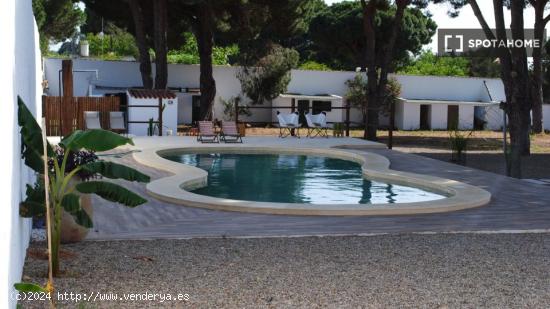 Estudio en Chiclana de la Frontera - CADIZ