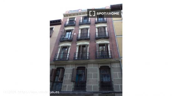 Apartamento entero de 1 habitaciones en Madrid - MADRID