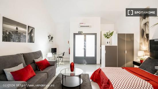 Apartamento entero de 1 habitaciones en Madrid - MADRID