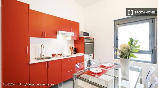 Apartamento entero de 1 habitaciones en Madrid - MADRID