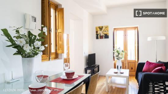 Apartamento entero de 1 habitaciones en Madrid - MADRID