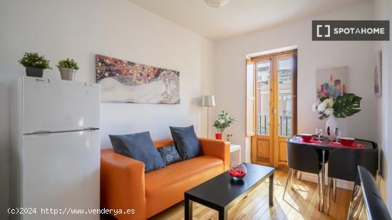 Apartamento entero de 1 habitaciones en Madrid - MADRID