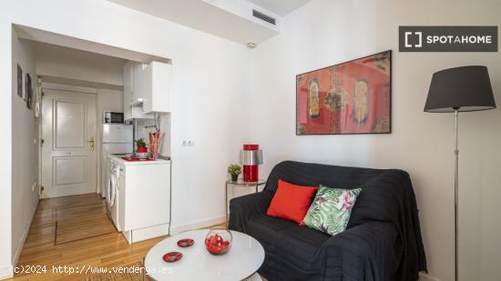 Apartamento entero de 1 habitaciones en Madrid - MADRID