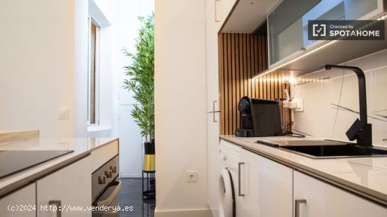 Apartamento de 1 dormitorio en alquiler en Paseo Del Prado - MADRID