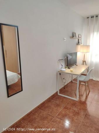  Se alquilan habitaciones en apartamento de 5 habitaciones en Parque De Juan De Austria - VALLADOLID 