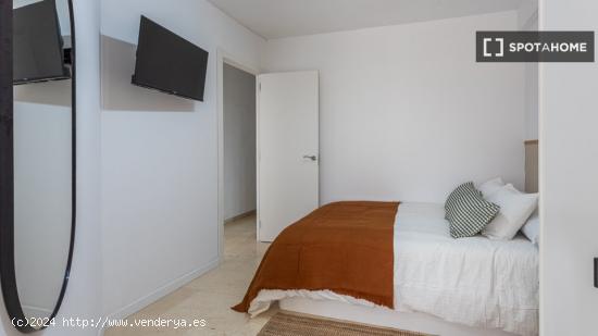 Se alquila habitación en piso compartido en Alicante - ALICANTE