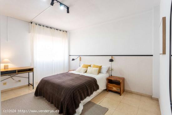  Se alquila habitación en piso compartido en Alicante - ALICANTE 