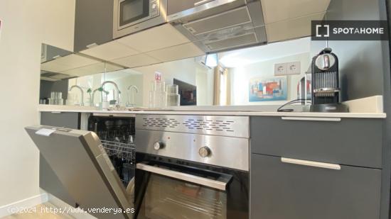 Apartamento de 1 dormitorio en alquiler en Lavapiés - MADRID