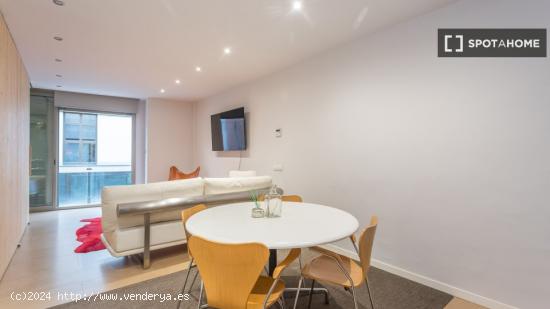 Apartamento entero de 1 dormitorio en Barcelona - BARCELONA