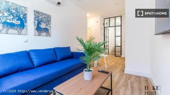 Apartamento entero de 1 habitaciones en Madrid - MADRID