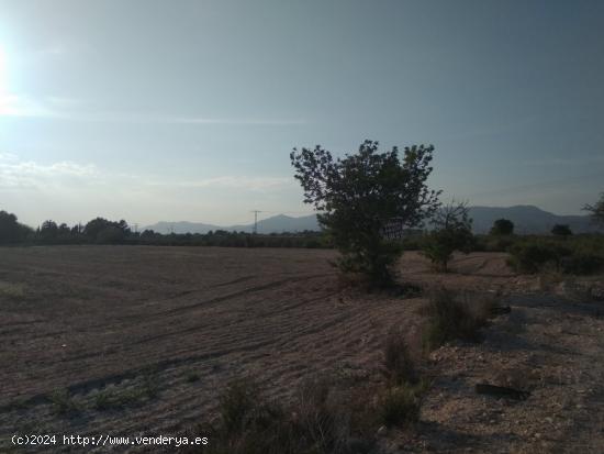 PARCELA EN MATOLA - ALICANTE