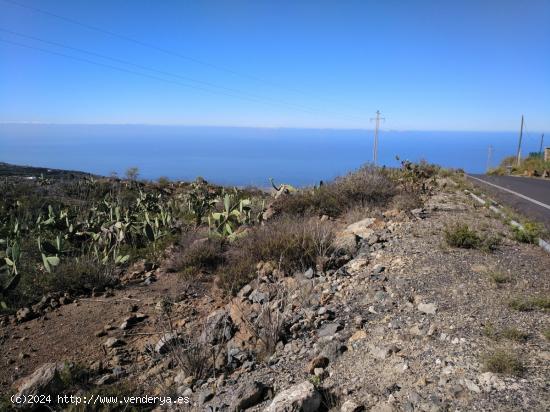 Terreno en La Concepción - Adeje - SANTA CRUZ DE TENERIFE