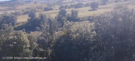 TERRENO URBANIZABLE DE CASI 6 HECTAREAS - BURGOS