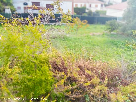 OCASIÓN!!!!!!! FANTASTICA PARCELA URBANA LLANA EN EL RECTORET DE 520 M2 - TARRAGONA