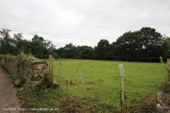 Se Vende en Mazcuerras - CANTABRIA