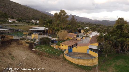 se vende finca rustica en entrerios ( mijas costa) - MALAGA