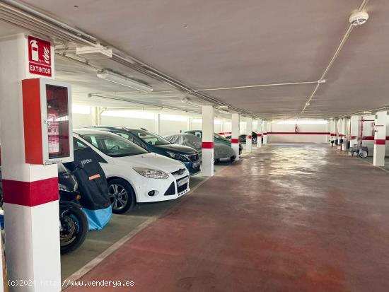 PLAZA DE PARKING - ZONA PASEO MARÍTIMO DEL PUERTO DE ALCUDIA - BALEARES