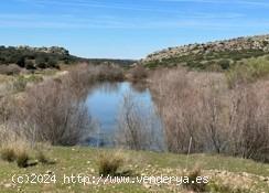 FINCA AGRÍCOLA DE 184 HECTÁREAS EN VILLARRODRIGO (JAÉN) - JAEN