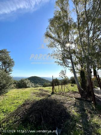 ZONA ASSUAN - Fantástica parcela de 2.700m con olivos, en plena sierra. Sólo 22.000€!! - CORDOBA