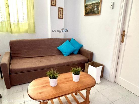 Amplio apartamento disponible desde diciembre - MURCIA