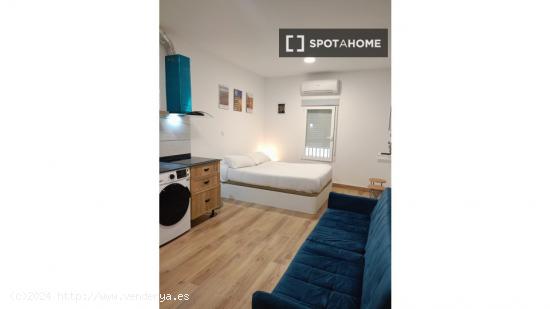 Apartamento de 1 dormitorio en alquiler en Lavapiés - MADRID