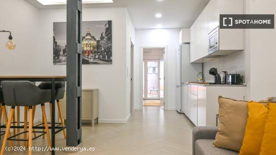 Apartamento entero de 1 habitaciones en Madrid - MADRID