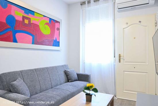  Apartamento tipo estudio en alquiler en Fuencarral-El Pardo - MADRID 