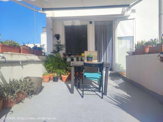  Apartamento tipo estudio en alquiler en El Mentidero - CADIZ 