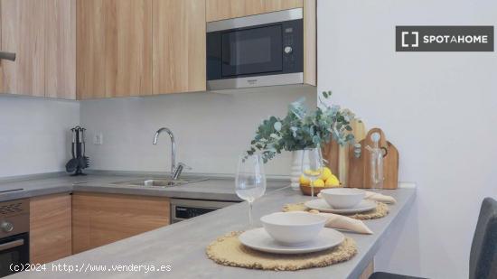 Apartamento entero de 1 habitaciones en Madrid - MADRID