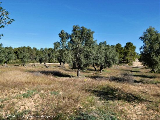 Finca en venta en Calaceite (Teruel)