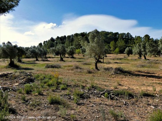 Finca en venta en Calaceite (Teruel)