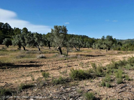 Finca en venta en Calaceite (Teruel)