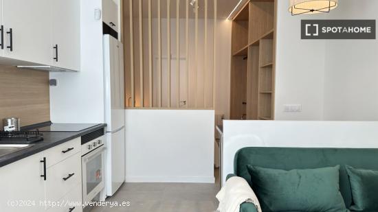 Apartamento de 1 dormitorio en alquiler en Lucero - MADRID