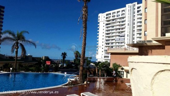 Estudio en alquiler en Adeje (Tenerife)