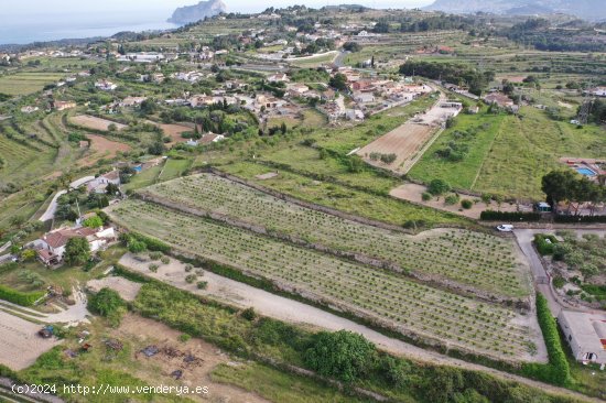 Finca en venta en Teulada (Alicante)