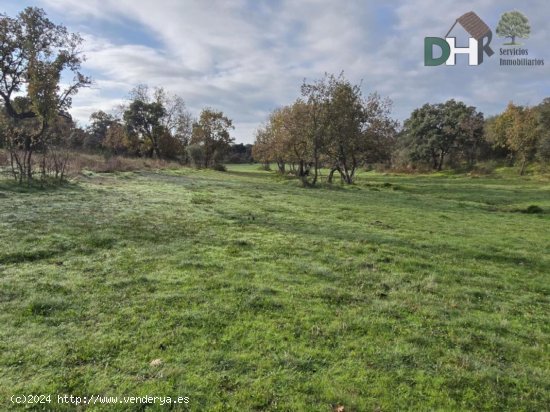 Solar en venta en Cáceres (Cáceres)