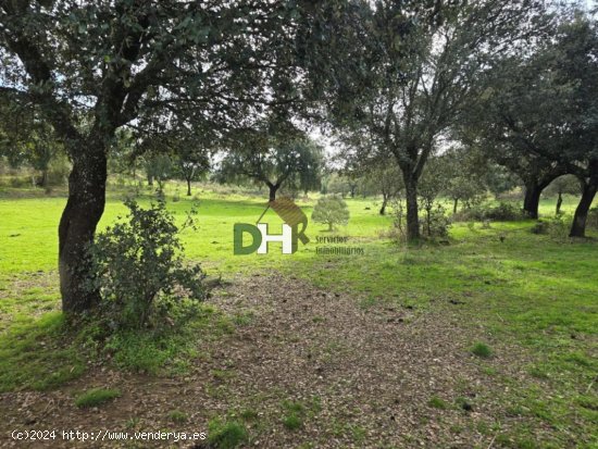 Solar en venta en Cáceres (Cáceres)