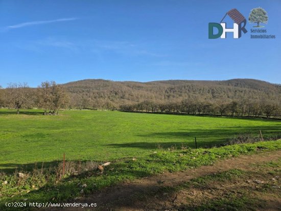 Solar en venta en Cáceres (Cáceres)