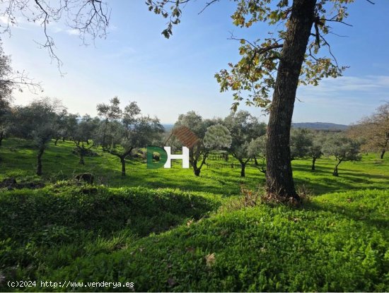 Solar en venta en Cáceres (Cáceres)