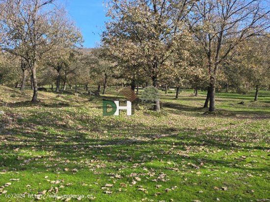 Solar en venta en Cáceres (Cáceres)