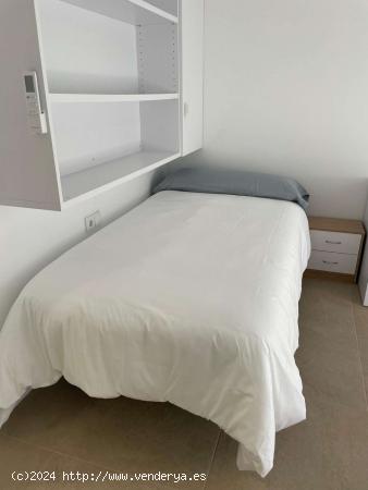  Se alquila habitación en piso compartido en Valencia - VALENCIA 