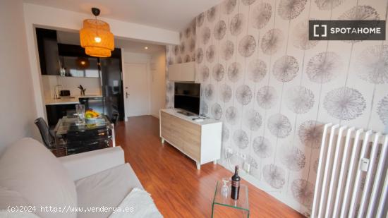 Apartamento entero de 1 habitaciones en Madrid - MADRID