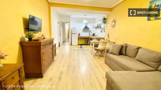 Apartamento entero de 1 dormitorio en Torrevieja - ALICANTE