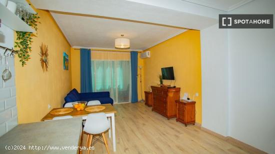 Apartamento entero de 1 dormitorio en Torrevieja - ALICANTE