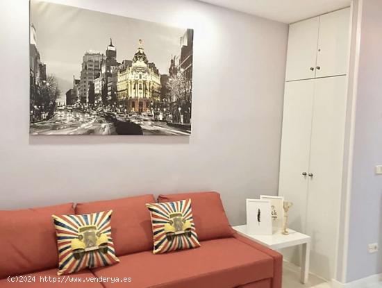  Apartamento entero de 1 habitaciones en Madrid - MADRID 