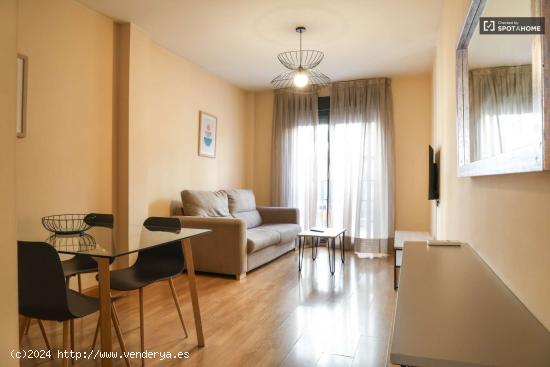  Apartamento de 1 dormitorio en alquiler en Tetuán, Madrid - MADRID 