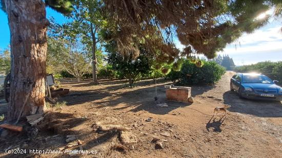  FINCA RÚSTICA CON NARANJOS EN VILA-SECA - TARRAGONA 