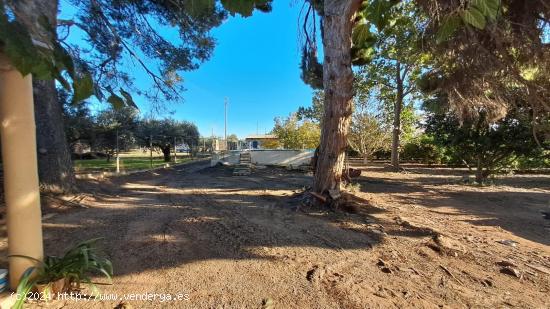 FINCA RÚSTICA CON NARANJOS EN VILA-SECA - TARRAGONA