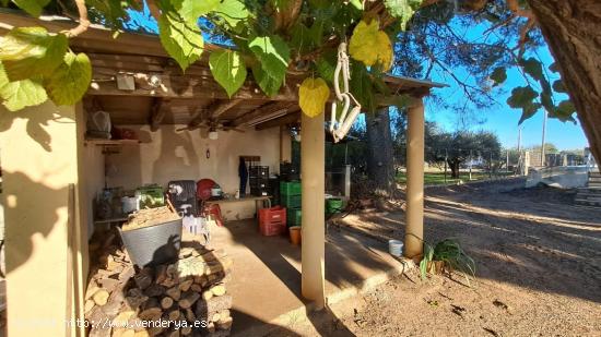 FINCA RÚSTICA CON NARANJOS EN VILA-SECA - TARRAGONA