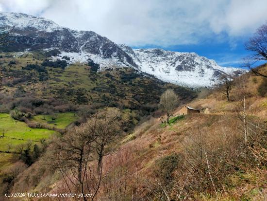 Venta de Terreno Rústico en la Falda del Aramo - Ideal para Agricultura y Ganadería - ASTURIAS